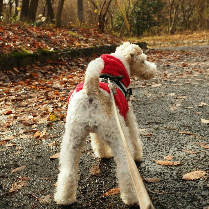 A3665930 fb1a 42f5 967a e9a190ec027d