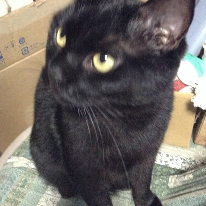 A36698c7 c729 40cf 9a87 543aacb630ea