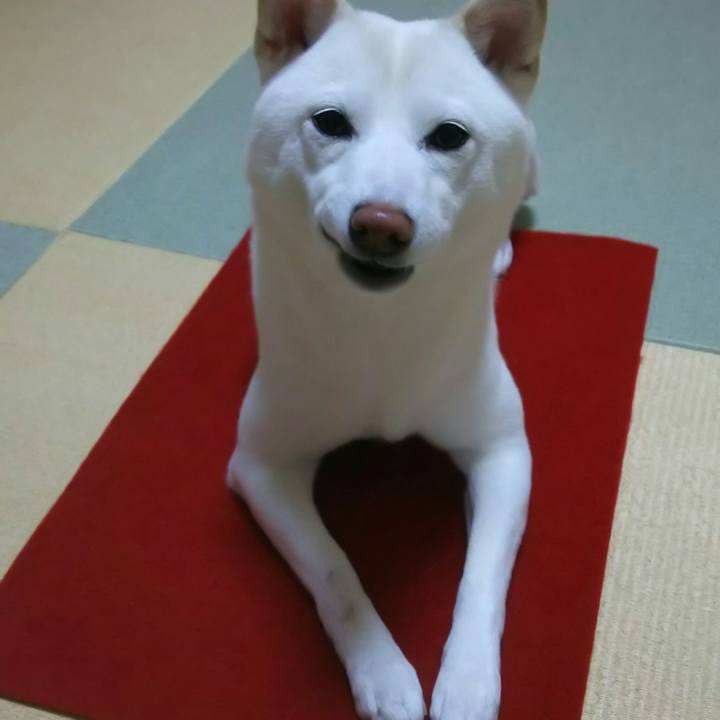 A366d770 a4ac 4f81 90c4 6f470b18cd5e