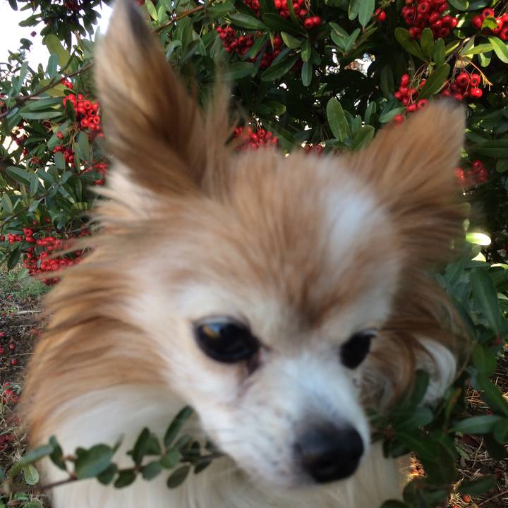 A36779bd 3d74 4fb3 a772 f0481c44959f