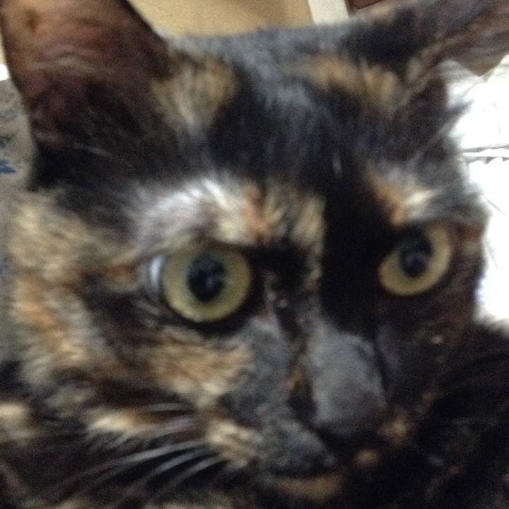 A3684003 81c3 40bf 889c 0c74c86933ab