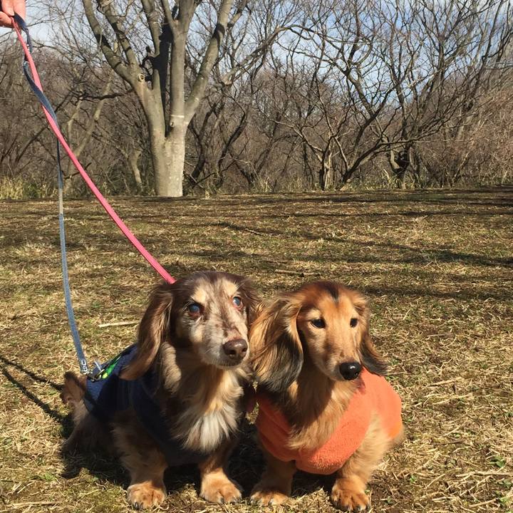 A3685332 8e41 40e2 a39d 0a4742b93f3b