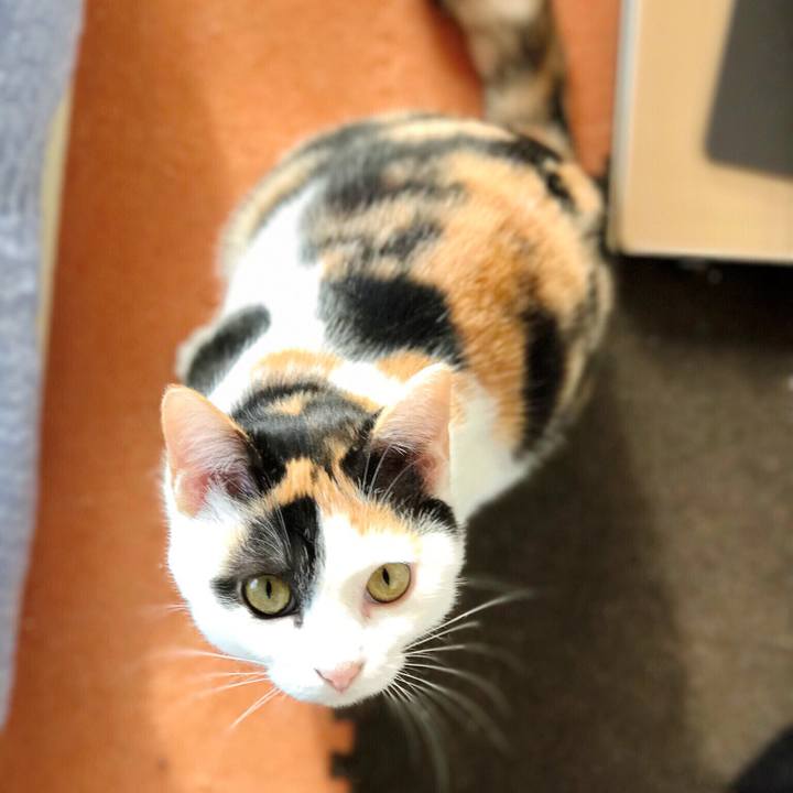 A36896d3 60b6 4698 9ea9 2bad9fbbd34a