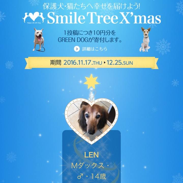 A368a4a1 8d43 4056 a502 0a097cd6aecc