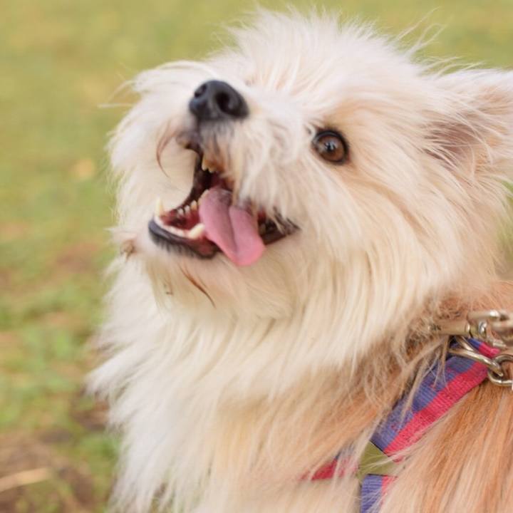 A368ab55 f460 4dd7 97b5 1b5ec5dfd103