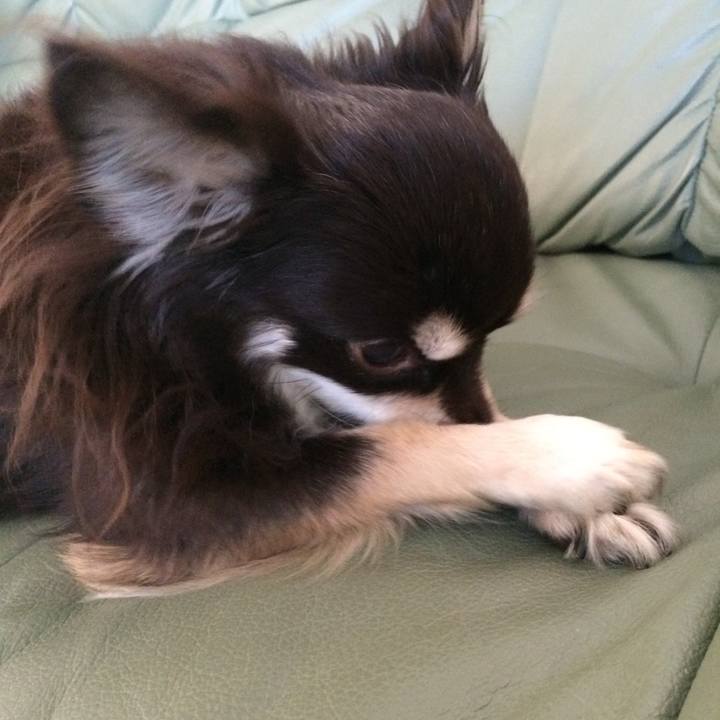 A36927ca 155c 4a8f 8688 bb3130ba77c7