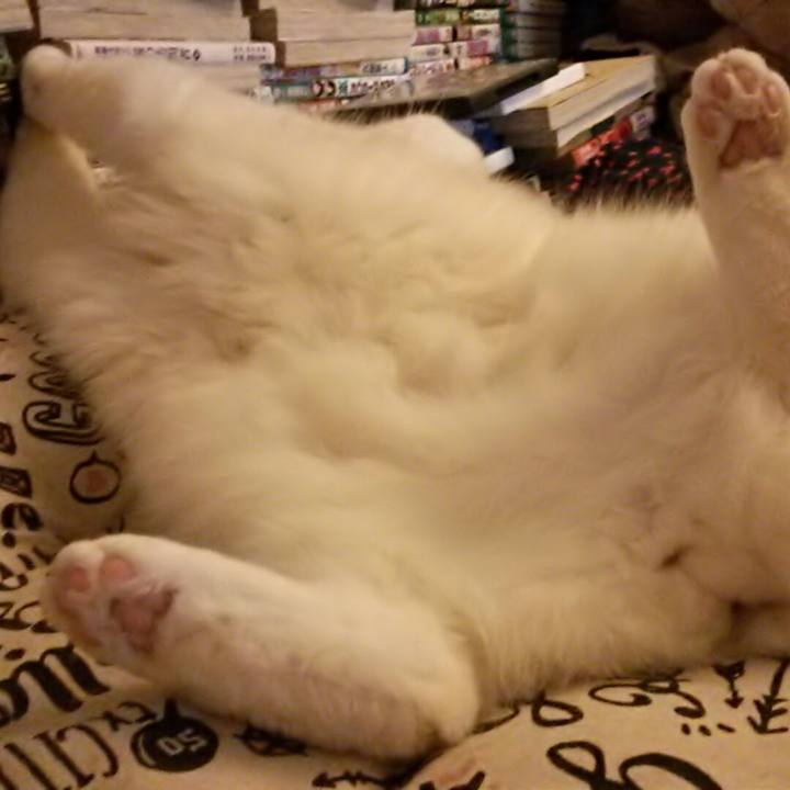 A3692d74 b849 43b9 b33f 30c213625f36