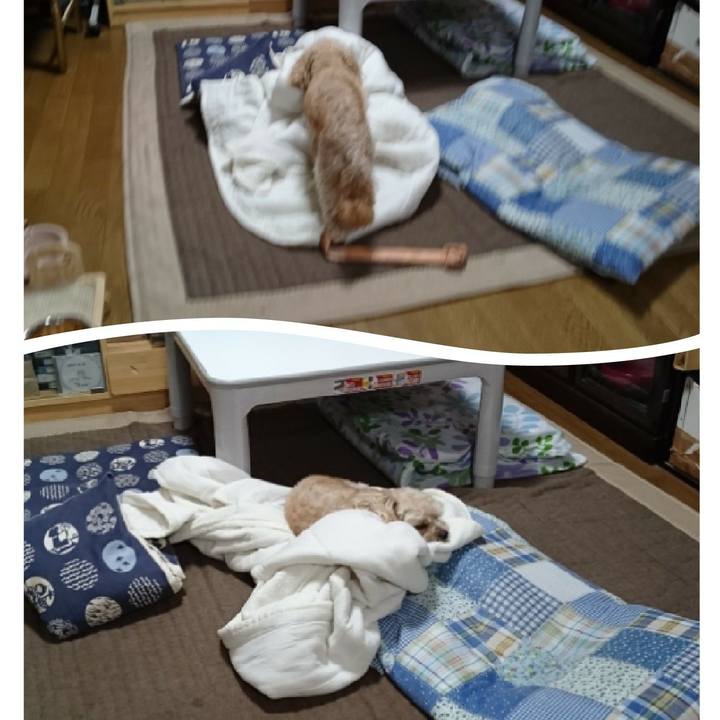 A3692ec5 c1d5 4b8e b0b3 7cf9810b2ef8