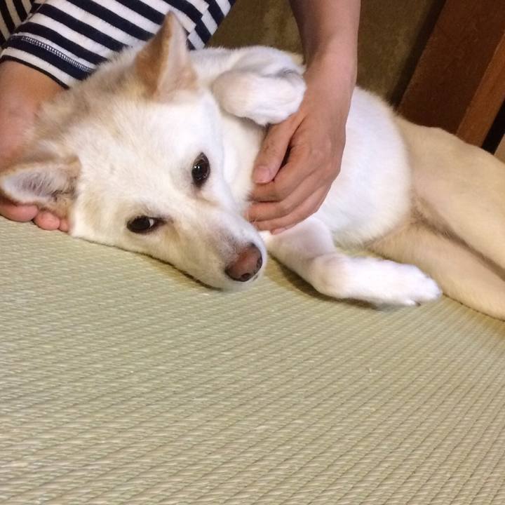 A3695815 10da 4447 9470 8f3da1f61851