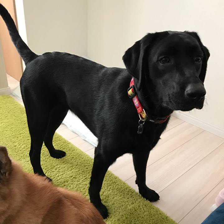 A369ca5a 51b8 4e09 aa0c 684419aa13d8