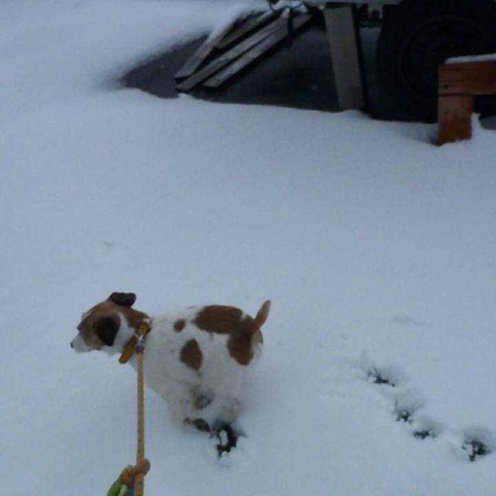 A369ebec 53eb 4a7d 9cb3 4e00d67847d1