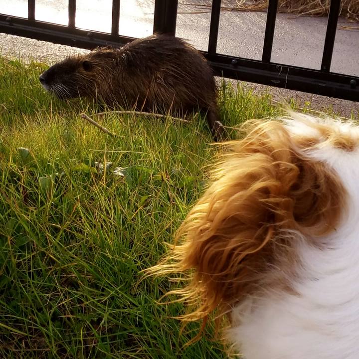 A36a9b83 58a8 40db 96f4 2a286b7f337b