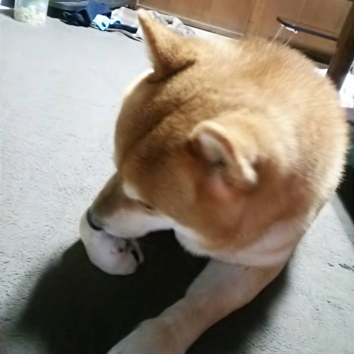 A36ad850 7049 44c1 936f c95e0c7292dd