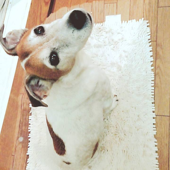 A36b32bc c728 461e a25c b3b233eb509c