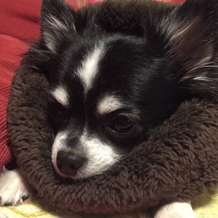 A36c4282 86df 440d 9c24 03122762d886