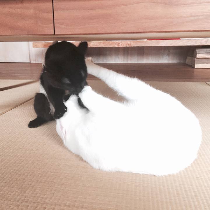 A36ca202 ea57 435a 9f9a b59dd4217243