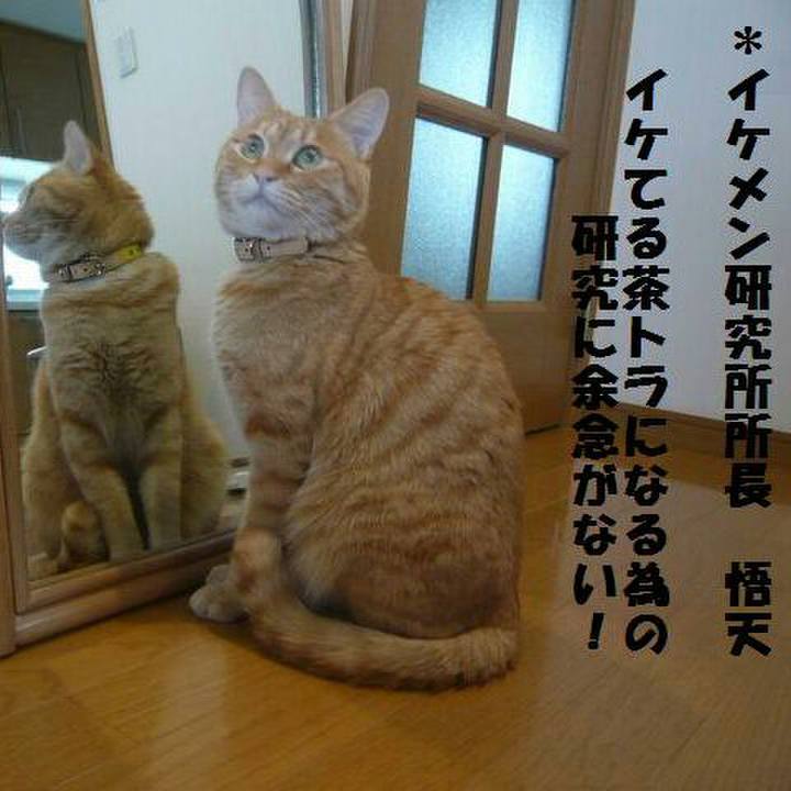 A36cb2d1 0016 4449 8204 3e799cdd29d5