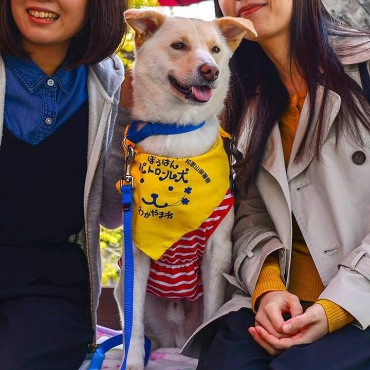 A36d447c 5a6c 498b 843a de8abfafcddd