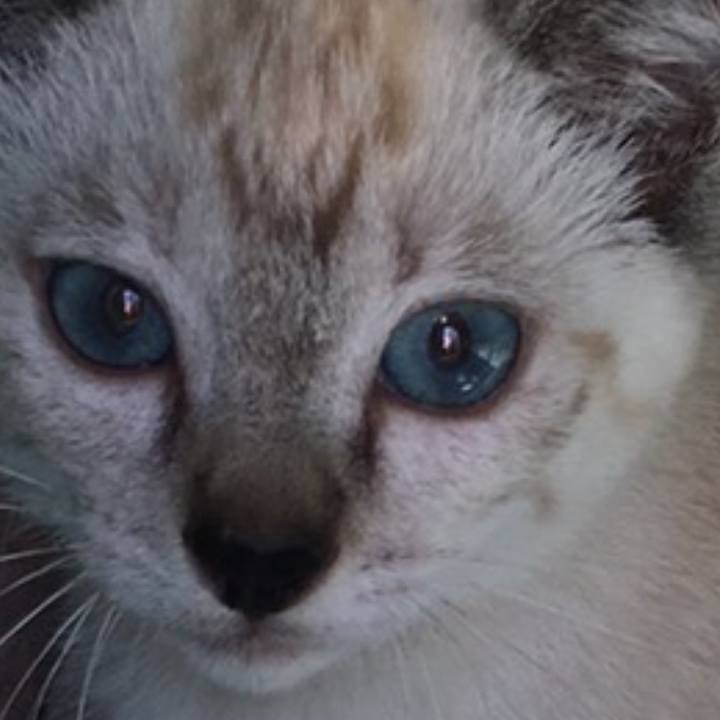 A36d9efc a6c1 47dc 8e1d 6fc8ab1b7478