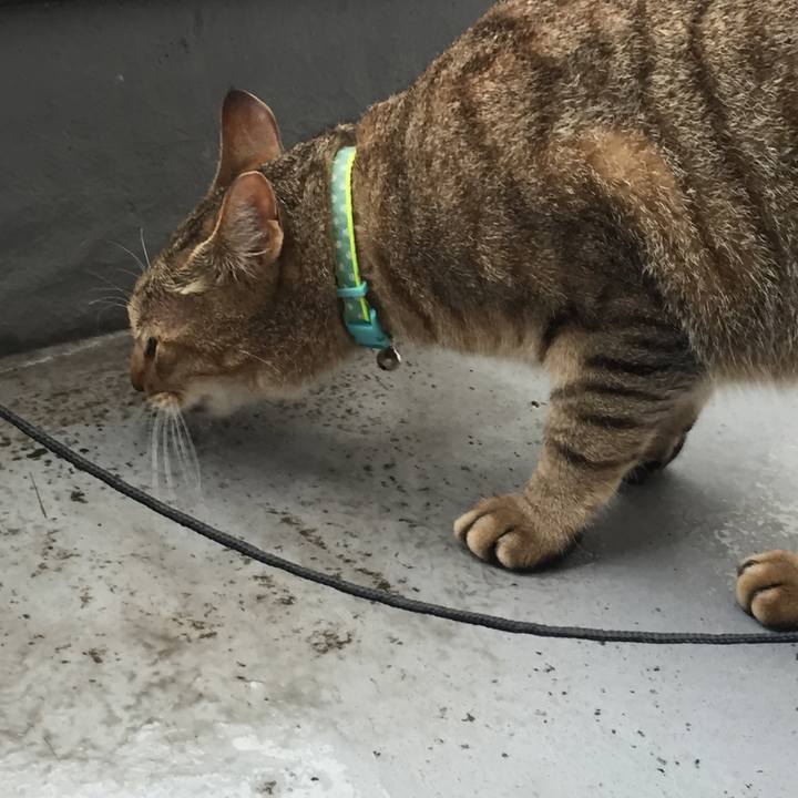 A36ddc16 b754 4443 a07c 18d85dfd3176