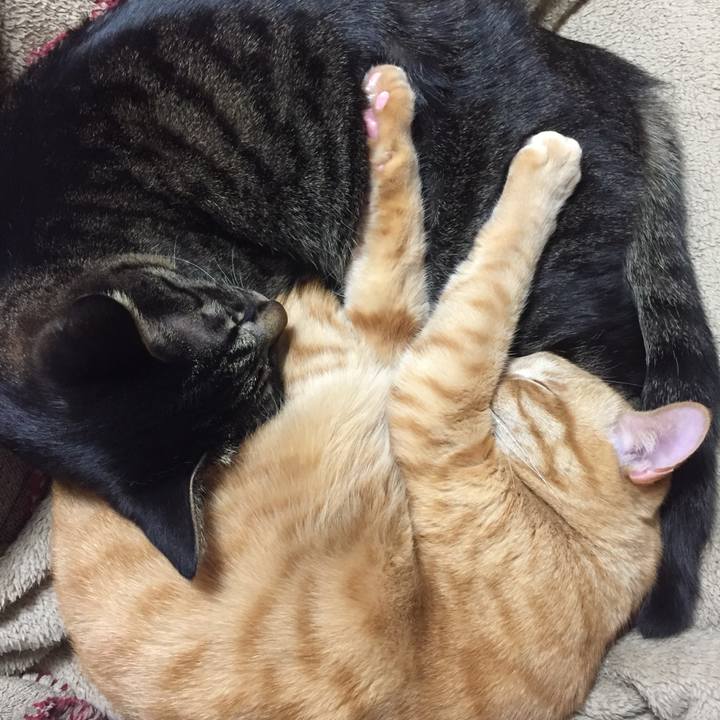 A36f8d05 fd73 4bb2 a54e dac31b95ff16