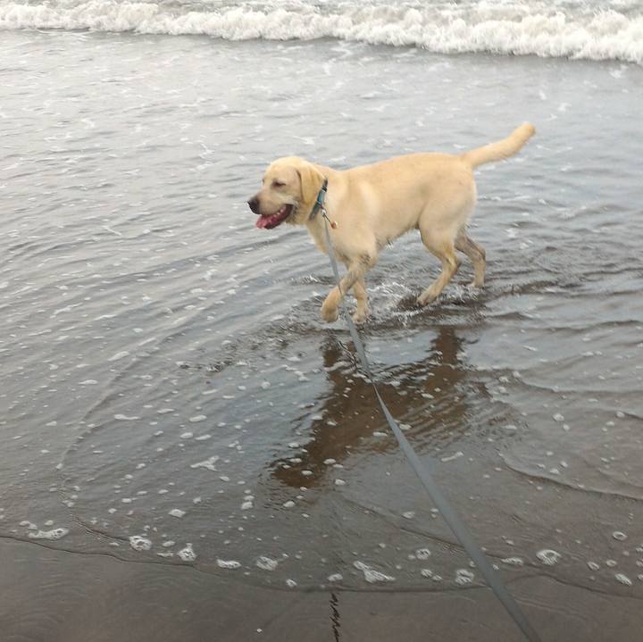 A36fcb77 bbbd 4bb1 9204 db5fae1347de