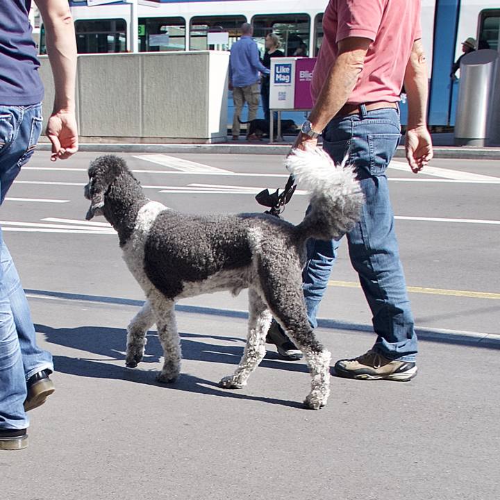 A36fe79f fd85 4f36 9f86 40856c607af4