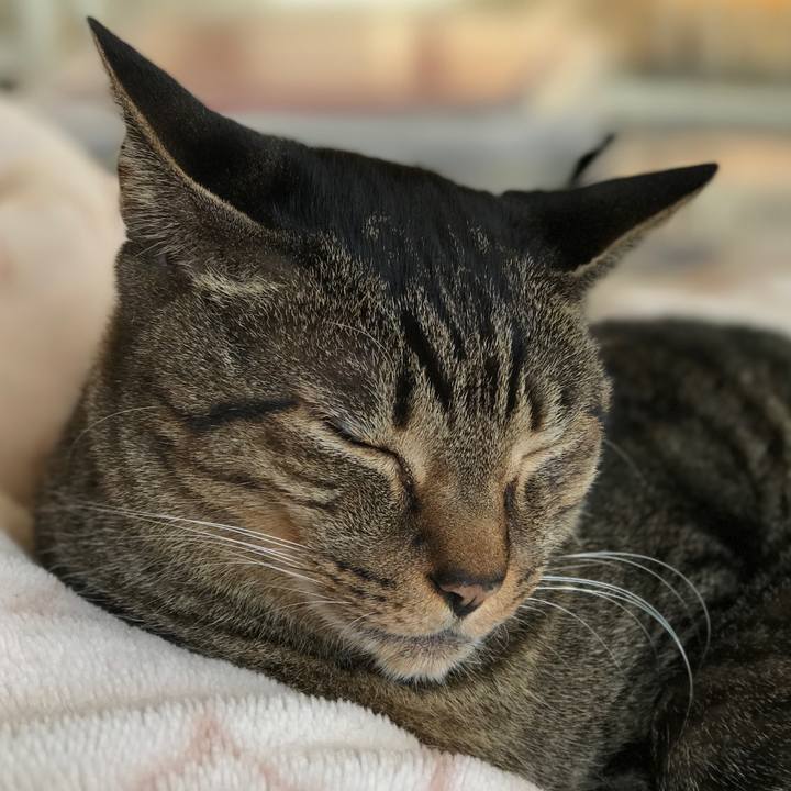 A36ffda9 401b 4b39 ab82 e76008c6793f