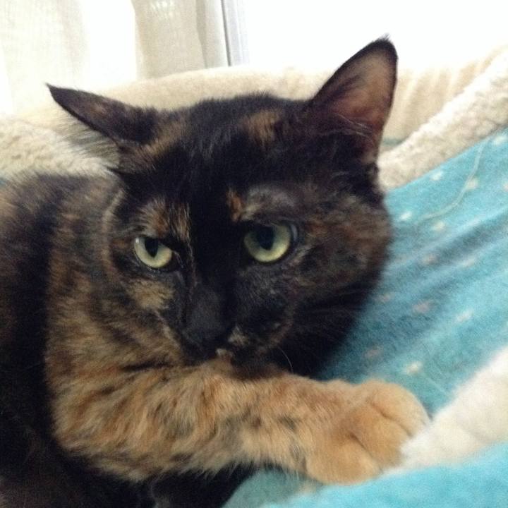 A370f5dc 4278 4129 af70 4408a7d1ffcb