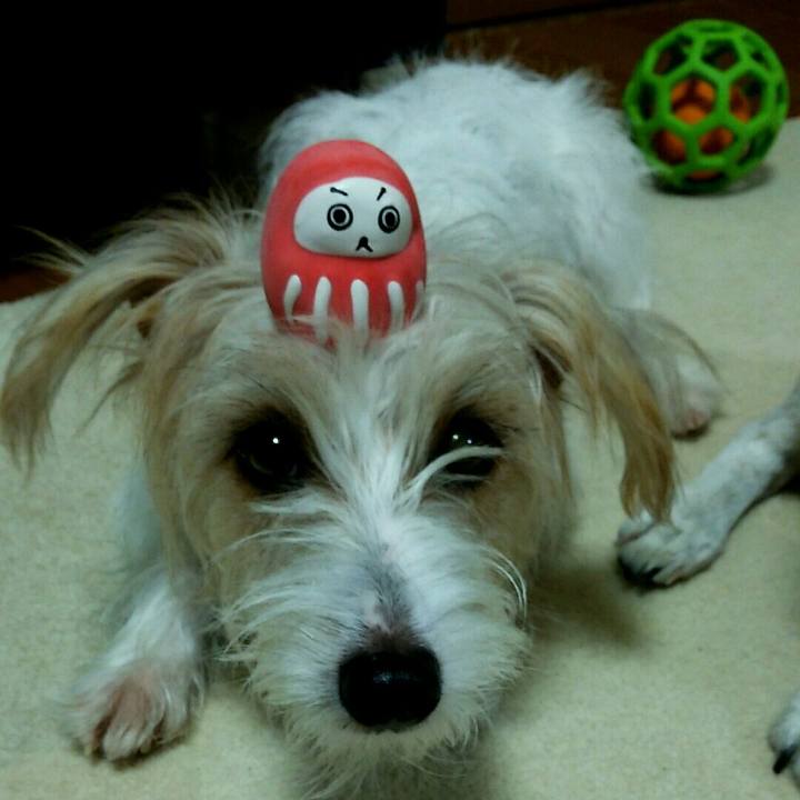 A370f8c2 5ccc 4fdf 9626 b0cad08469be