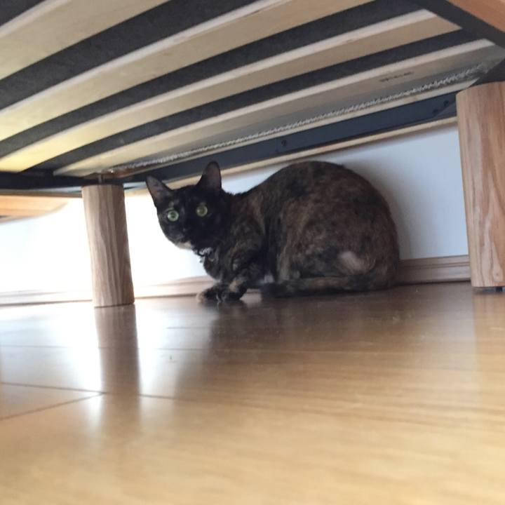 A371d434 3437 4fc1 98b8 b25d52672e5f