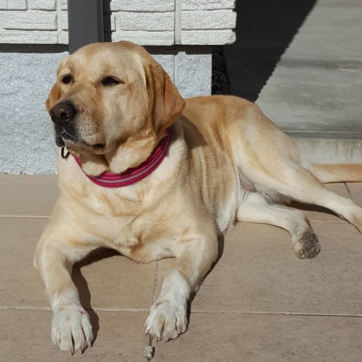 A37289e0 cf33 41cb 8bc0 8414e858e42e