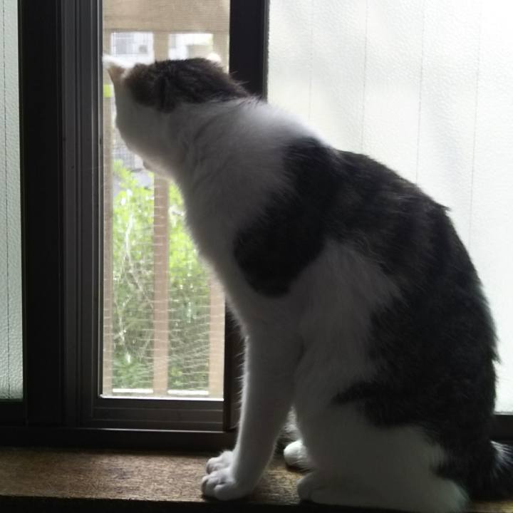 A372f992 745b 49dd bfb2 87fcf2e31bd9