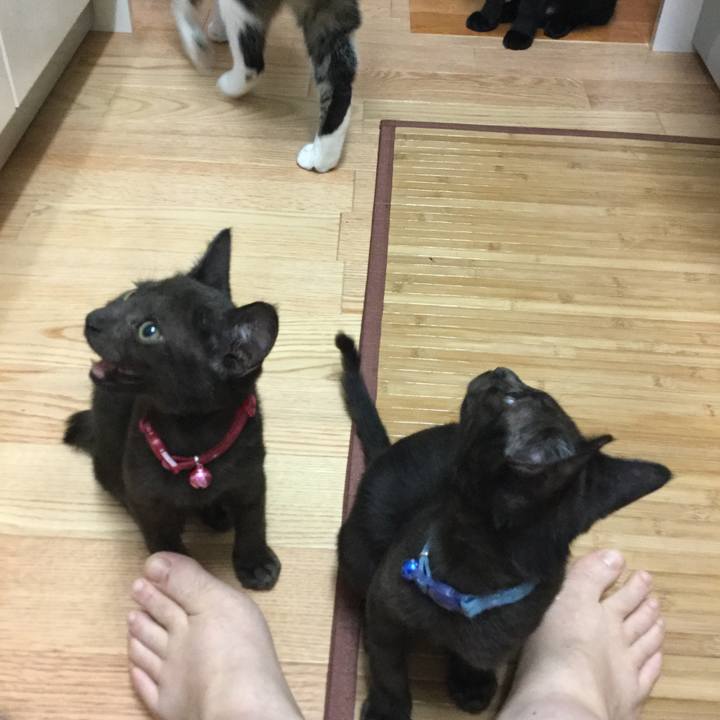 A37397eb f6e1 4636 b680 da548db04b93