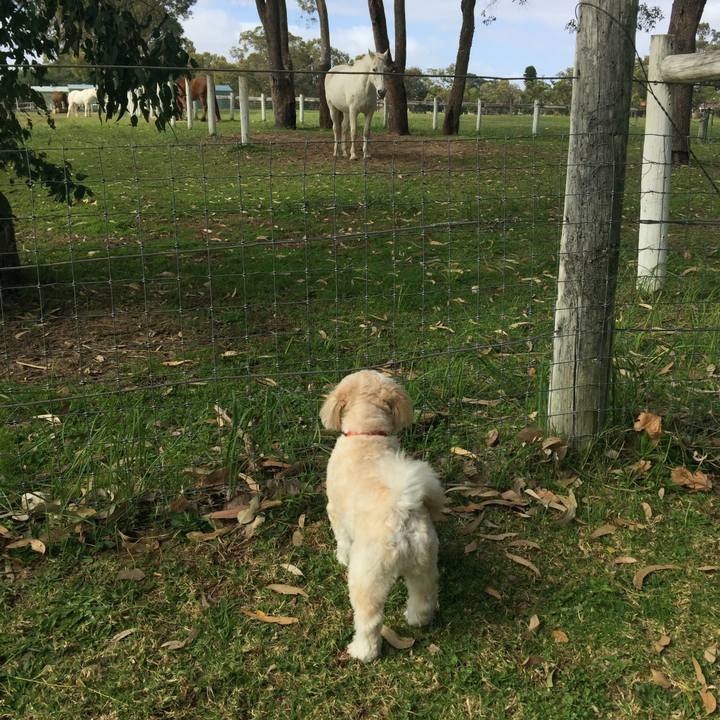 A373a5f7 f7c9 4c1b 8338 eec50b3b347a