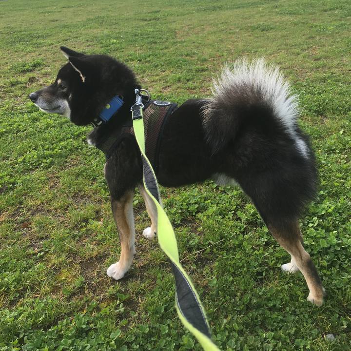 A3742056 3987 4aa9 9558 878ca93f8fa0