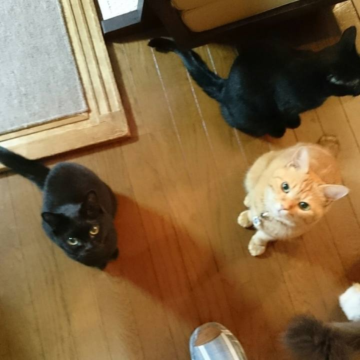 A37501ef 60bd 4b65 89aa 29d1898ff9f3