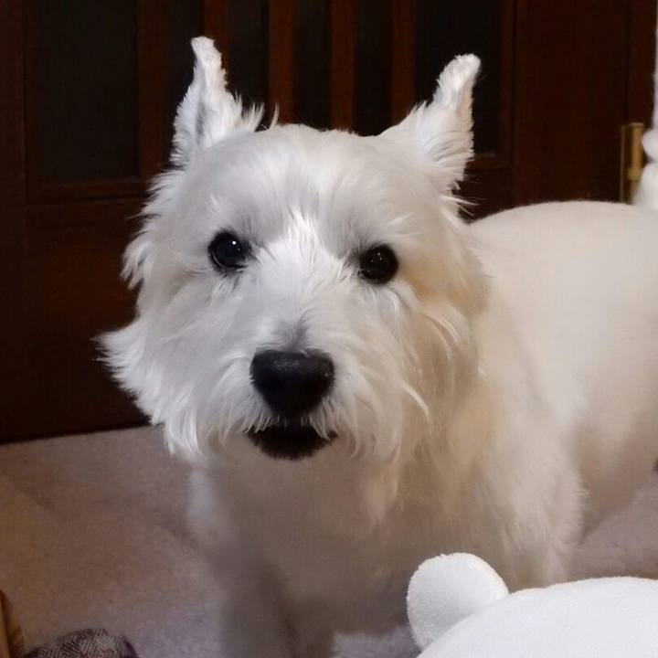 A375735a 2579 4895 a94d 66baac87dff0