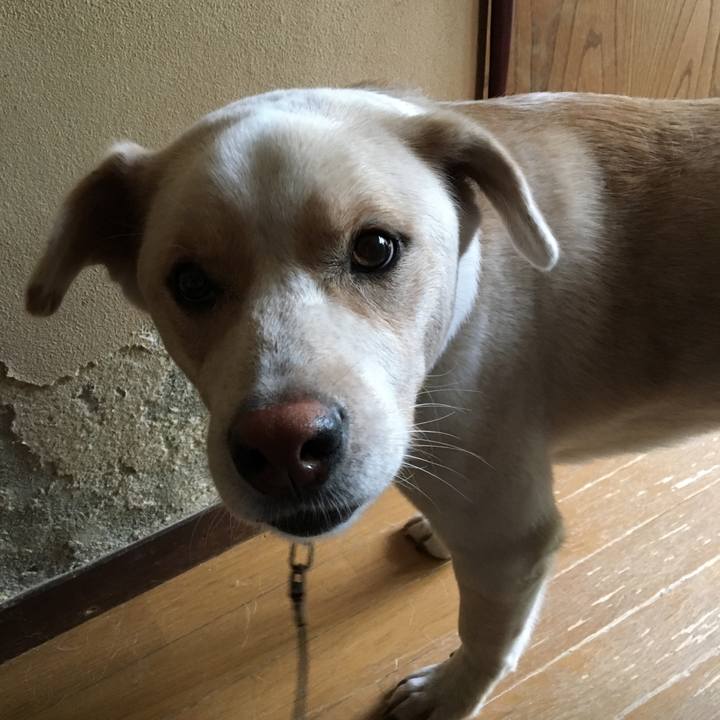 A375e302 f0cb 4328 a190 3a4249fadeb0