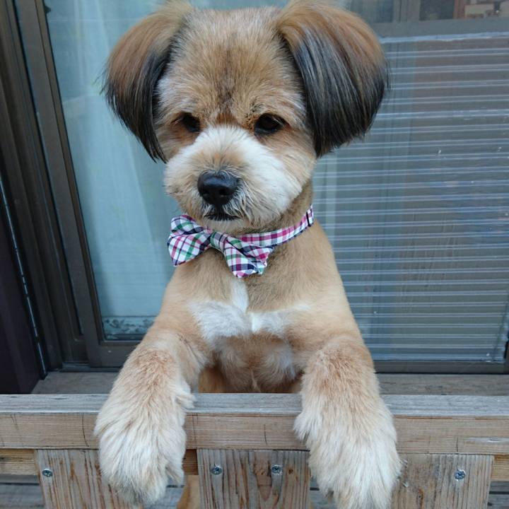 A3760b4a f147 447f a1ae 3f13a40eb1f0