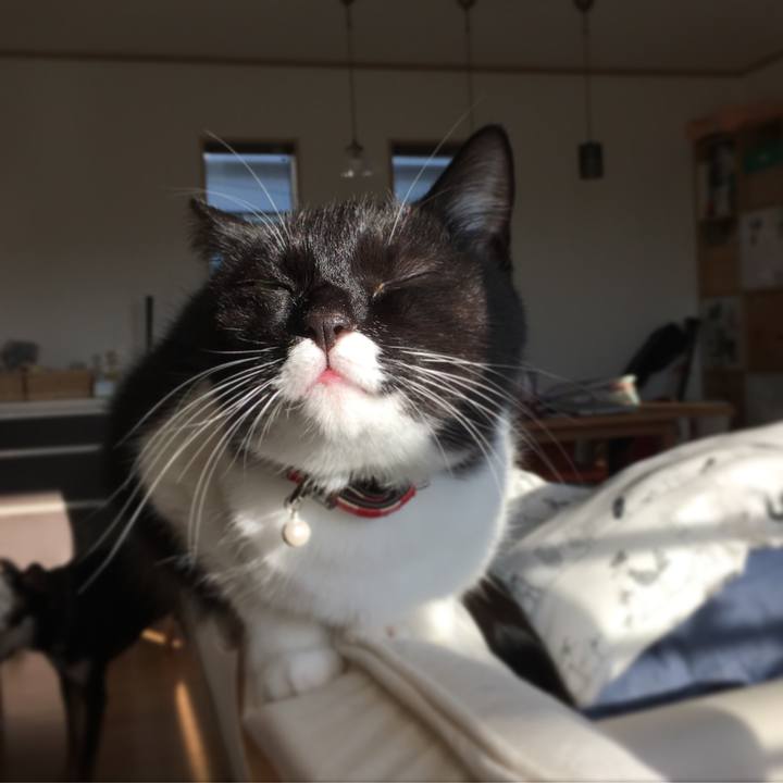 A37627b6 4ba9 4f9b a0ef 82640d3d95f3