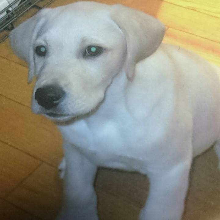 A376713f 1b0f 42f4 9572 cf71a6b0e999