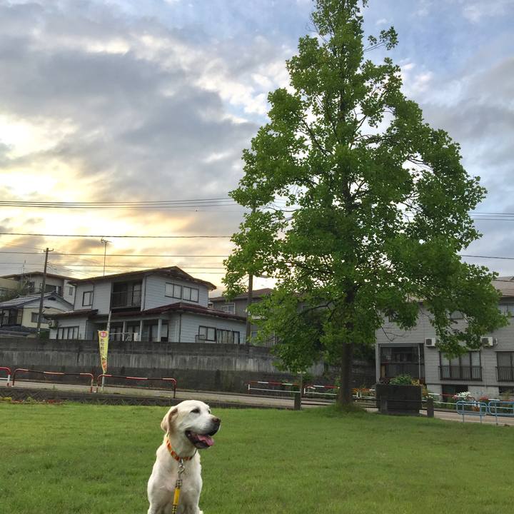 A3771927 88fe 417b a558 06a16f1f65fb