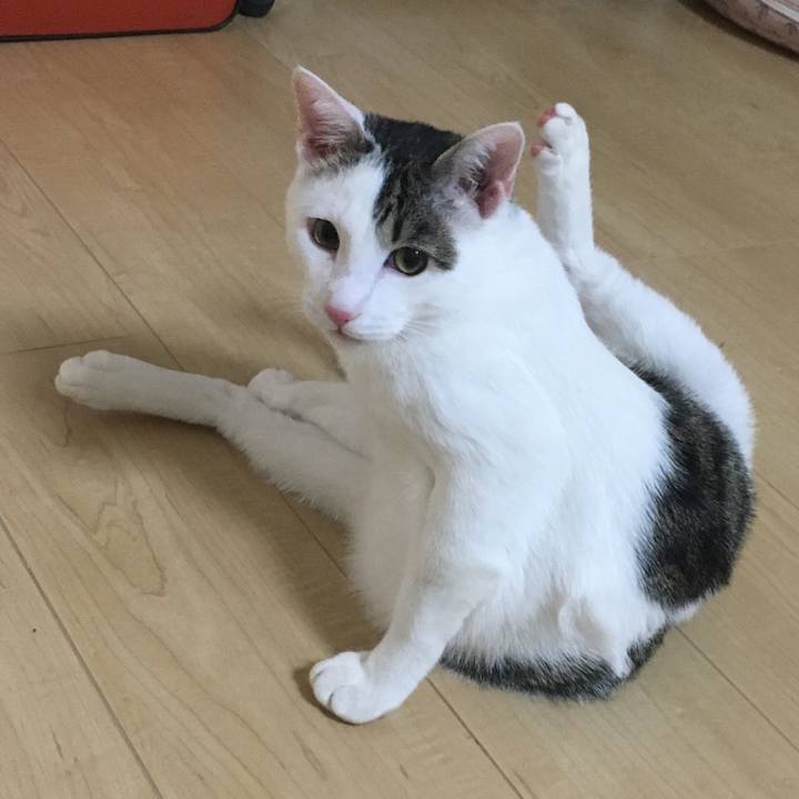 A3776347 8dd3 414a b57c 31f2a968617f