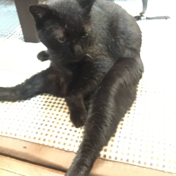 A3776ac5 3bb1 4e80 ae8e 21ee2695df2d