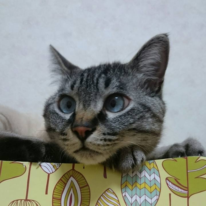 A3779e5a 9a18 4356 9b9c c2ae97c2147b