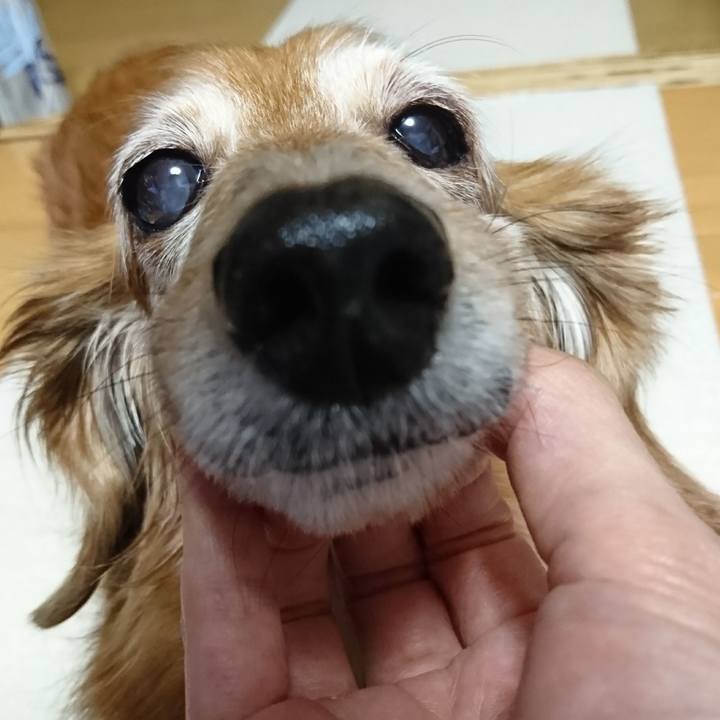 A3781d65 52fe 40dc 983e e00705021577