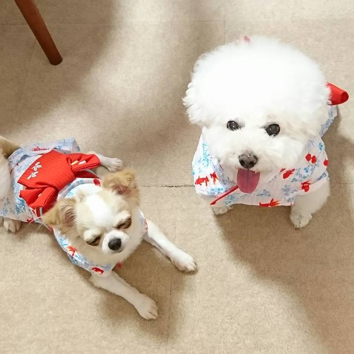 A3789ed1 b72a 4357 b085 fbfe43ed40f3