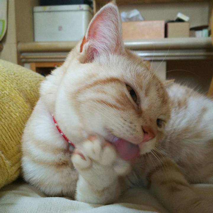 A37a3afc 2779 433f b65a eb0508f152ab