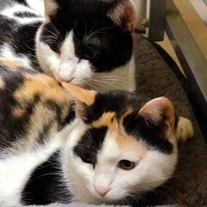 A37a6585 2f03 41b9 99e1 306d0b2c98bd